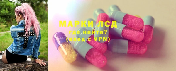 СК Медвежьегорск