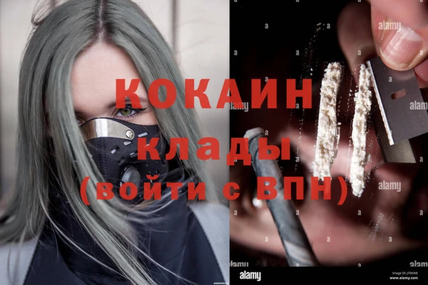 прущие крисы Магадан