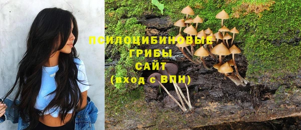 скорость mdpv Новозыбков